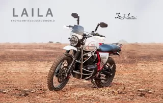 Laila - เป็นการผสมผสาน ระหว่าง Himalayan และ Interceptor